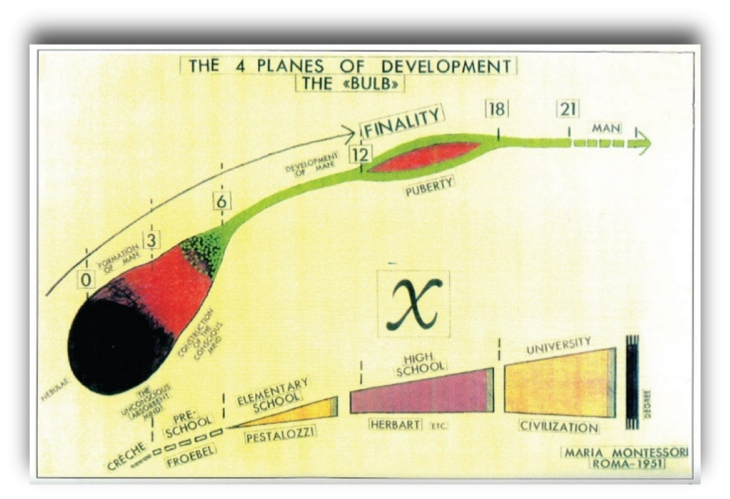 montessori-4-plans-developpement